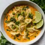 Delicious Curry Dumpling Soup Recipe