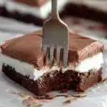 Mississippi Mud Cake Recipe
