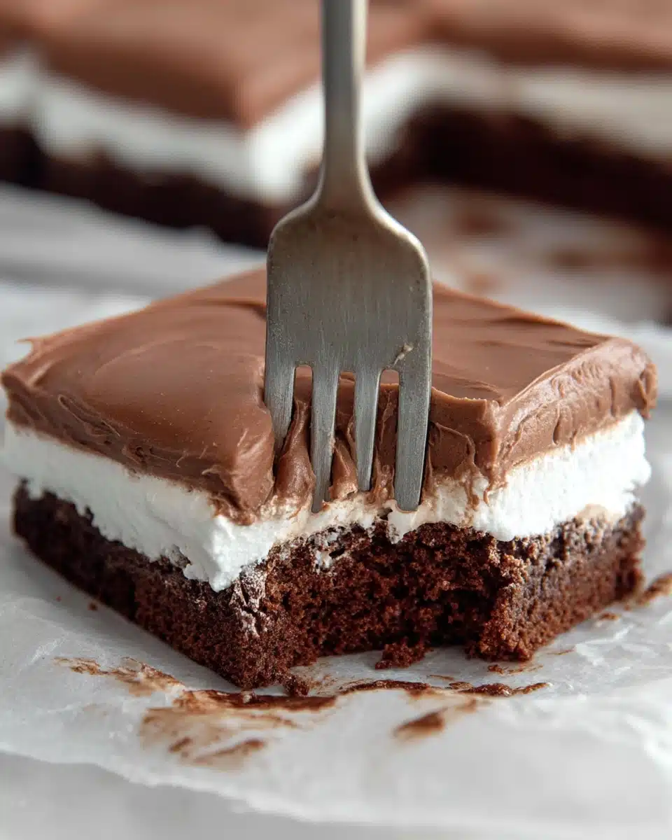 Mississippi Mud Cake Recipe