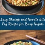 Shrimp and Noodle Stir Fry Recipe