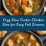 Slow Cooker Chicken Stew Recipe