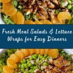 Fresh Meal Salads and Lettuce Wraps Recipe