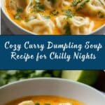 Delicious Curry Dumpling Soup Recipe