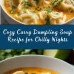 Delicious Curry Dumpling Soup Recipe
