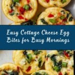 Cottage Cheese Egg Bites Recipe