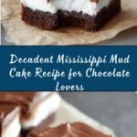 Mississippi Mud Cake Recipe