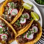 Barbacoa Beef Recipe 7 Barbacoa Beef Recipe