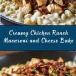 Chicken Ranch Macaroni and Cheese Recipe