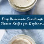 Sourdough Starter Recipe
