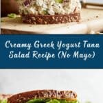 Greek Yogurt Tuna Salad Recipe