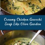 Copycat Olive Garden Chicken Gnocchi Soup Recipe