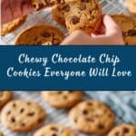Chewy Chocolate Chip Cookies Recipe
