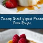 Greek Yogurt Panna Cotta Recipe