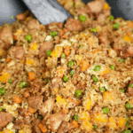 Mango Chicken Fried Rice Recipe